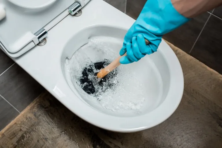 toilet repair san jose CA